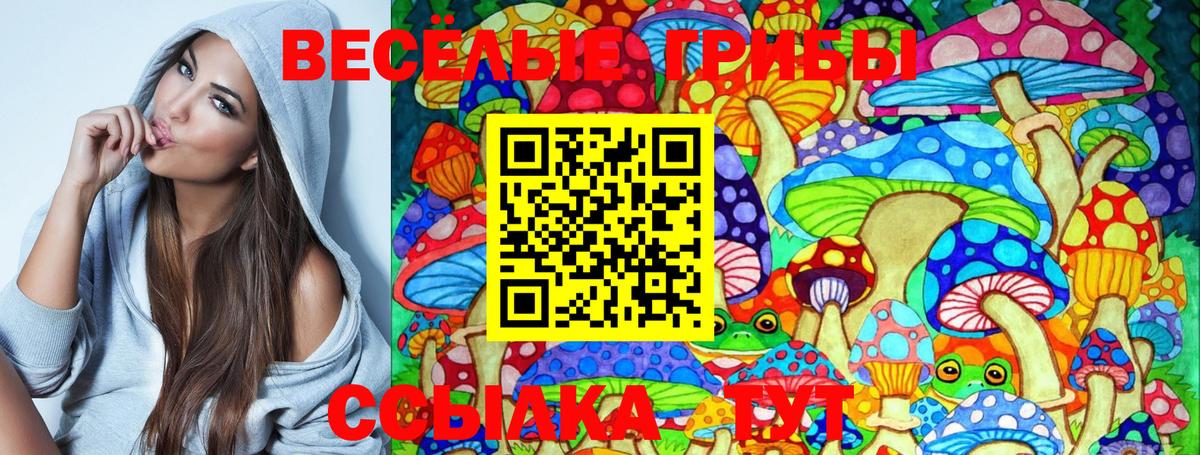 Усть-Джегута  Галлюциногенные грибы MAGIC MUSHROOMS  Вход с VPN 